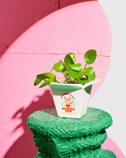 Vase / Ramen Pot