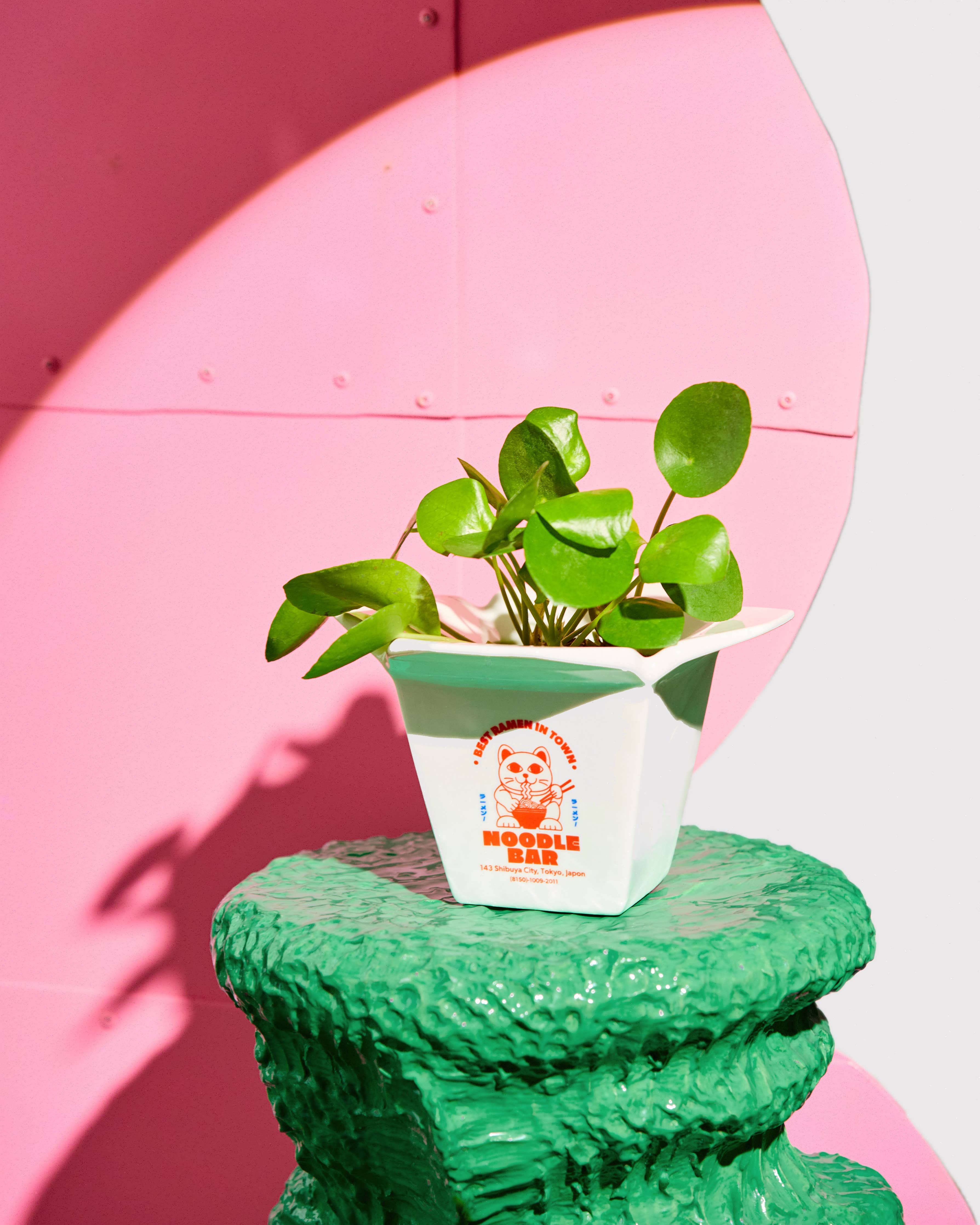Vase / Ramen Pot