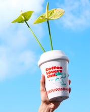 Coffee Vase